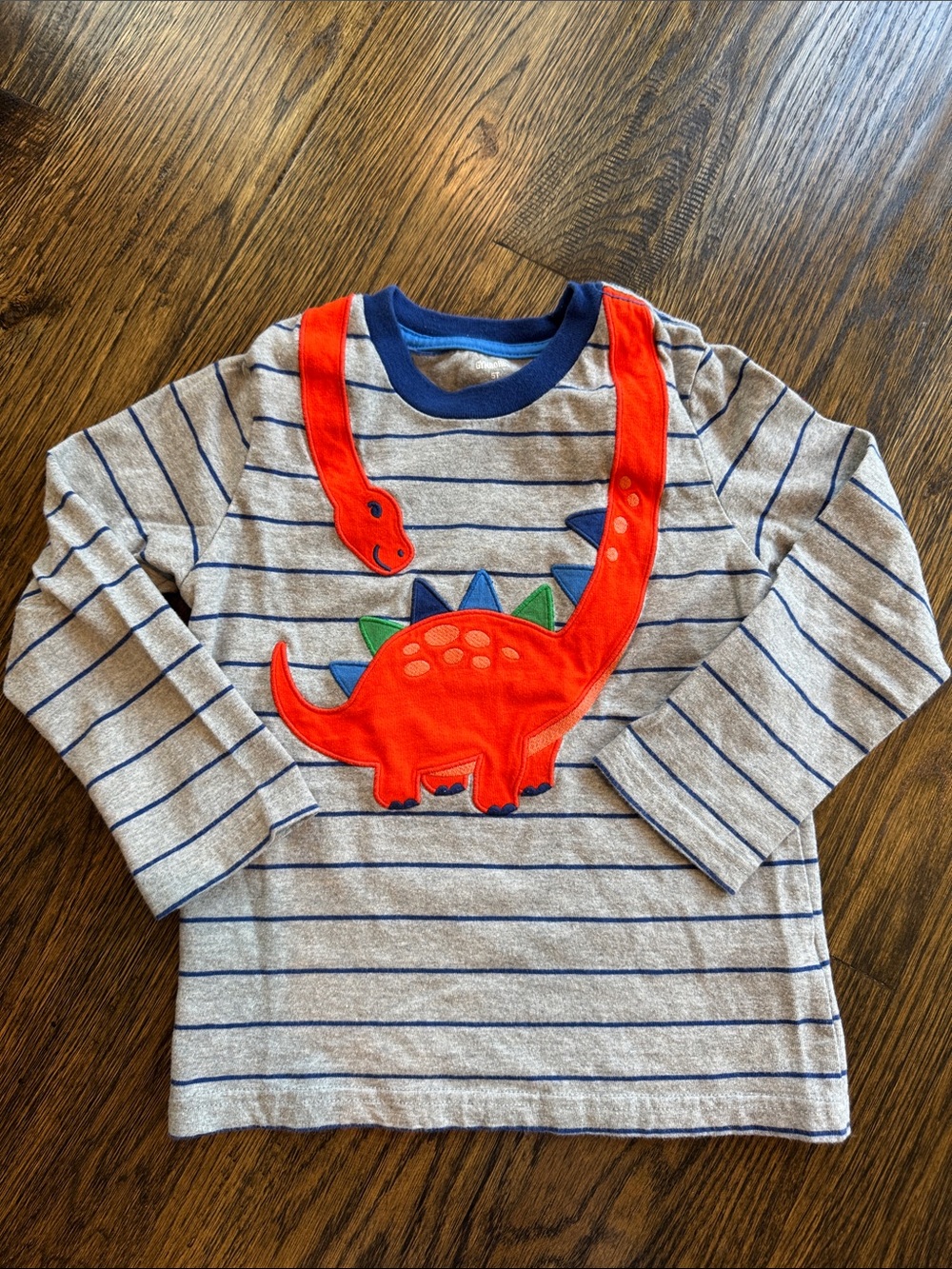Dinosaur shirt